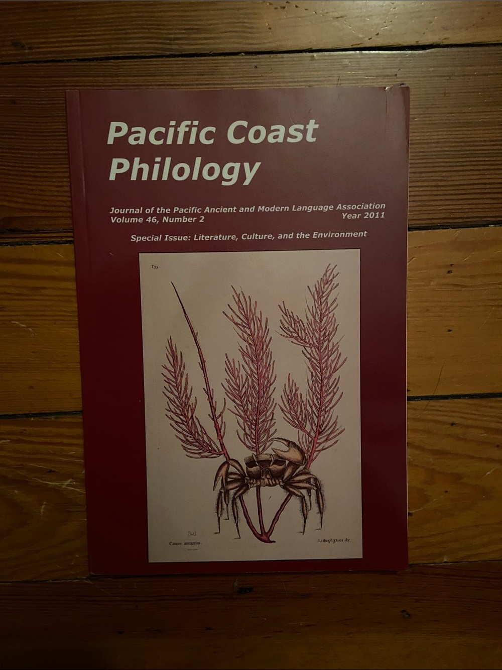 Pacific Coast coastal Philology sea crab Beach cover wildlife animal animals